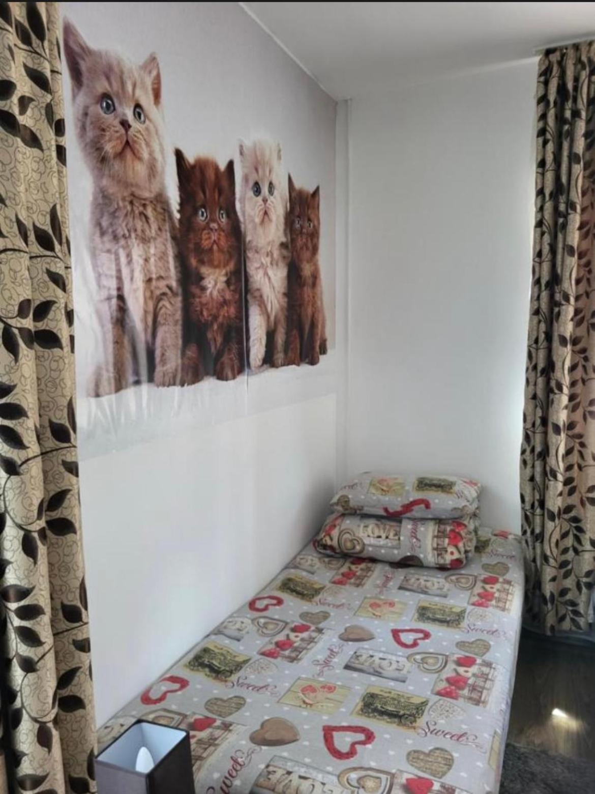 Ferienwohnung Casa Raraului Câmpulung Moldovenesc Exterior foto